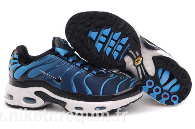 Nike Tn Bleu 2010